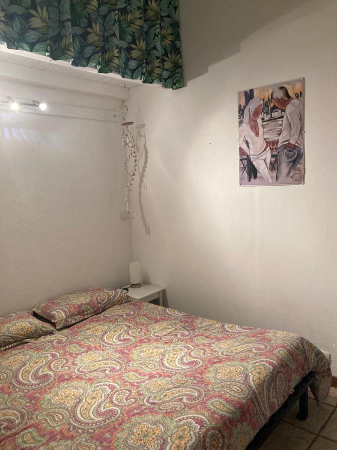 La Coccinelle Bed and Breakfast Nîmes Eksteriør billede